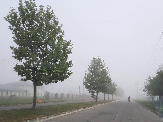 Neblina, templado y con posibles lluvias en el centro bonaerense